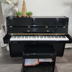 Elegant Kranich & Bach Black & Gold Piano – For Sale! ✨🎹 