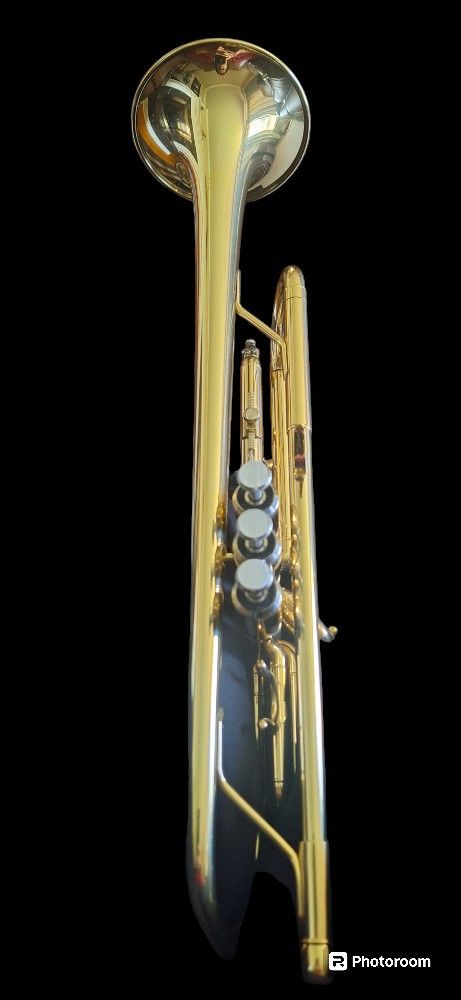 New Eastar Beginners Trumpet