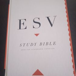Study Bible 