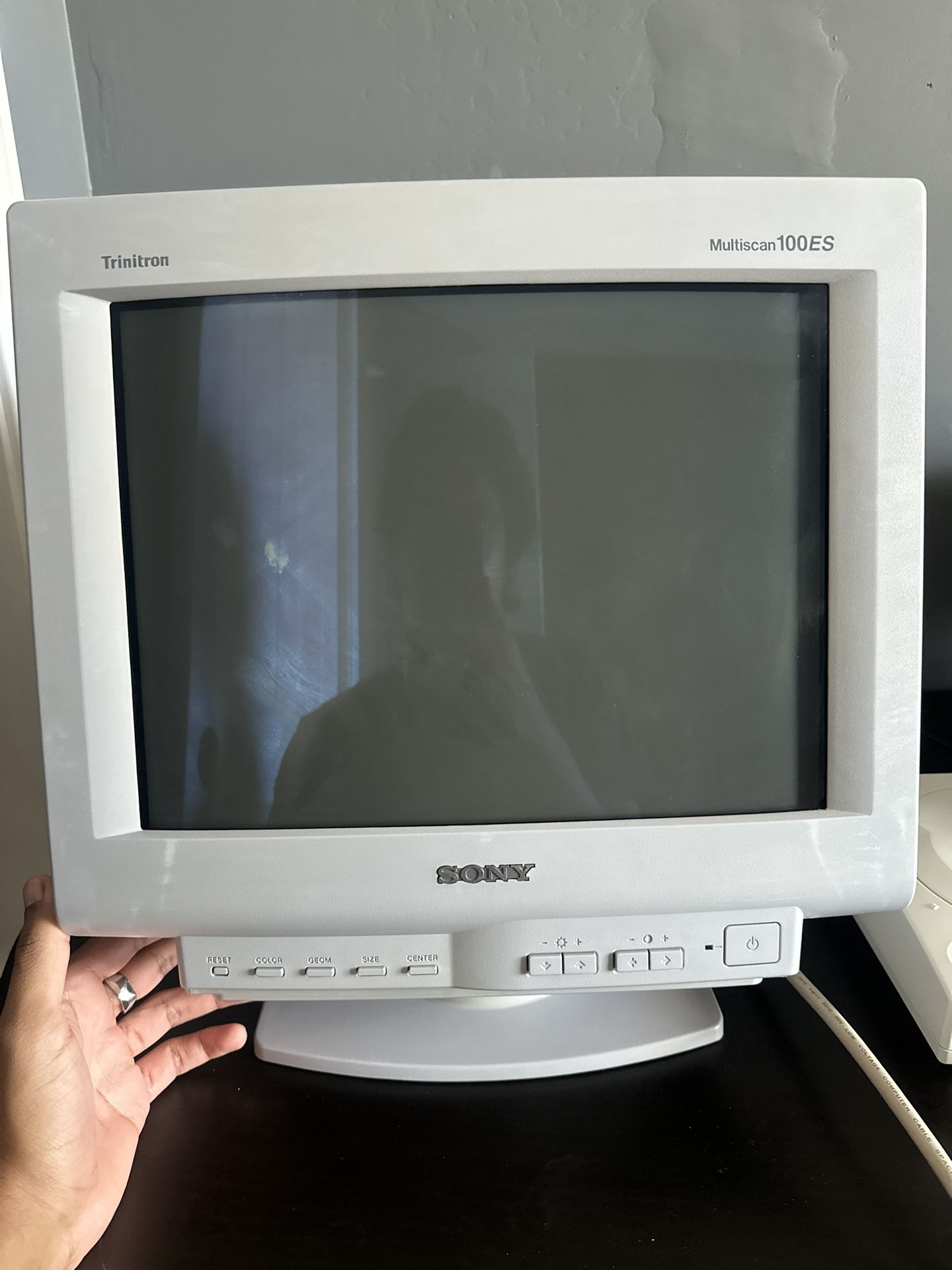 Sony Trinitron Monitor