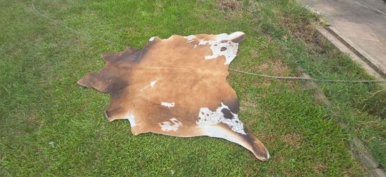 Cowhide rug,