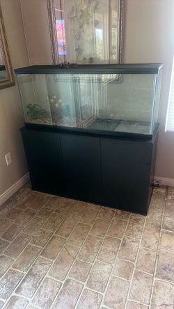 2 -55 gallon aquarium with stand