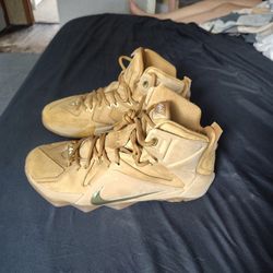 LeBron 12 EXT Inspired By the Air Zoom Generation “Wheat”