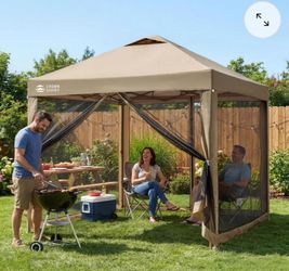 10x10 canopy side insect screen