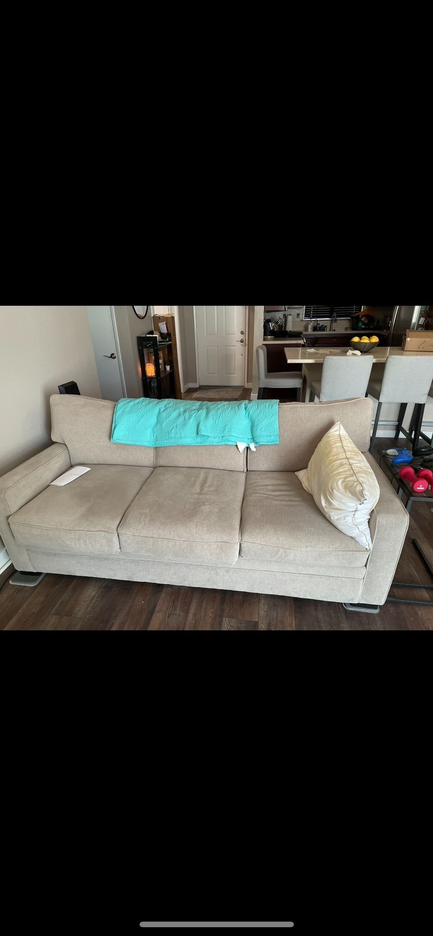 Couch With Pull Out Bed