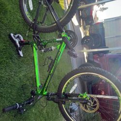 24 Inch Mountain Bike With One Brake Disc Asking 175 OBO