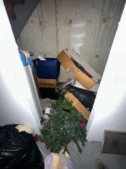Junk remov and demolition