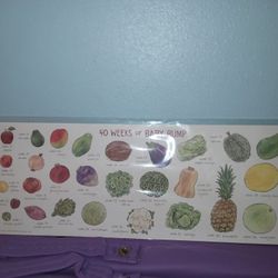 40 Weeks of Baby Bump 