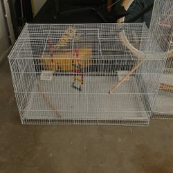 29 In Long Cage 