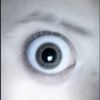 Xaiver 