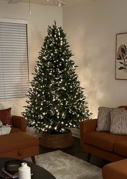Christmas Tree + Complete Décor Collection