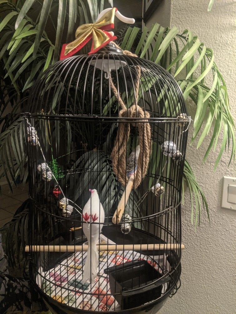 Cute Little Christmas Bird Cage