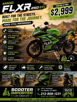 🏍️ NEW AMIGO FLXR 250 EFI – STREET PERFORMANCE WITH EVERYDAY PRACTICALITY