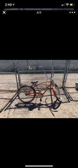 Glide deluxe cruiser