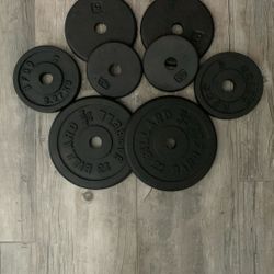 Standard Weight Plates 1”