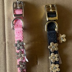 Dog Collars