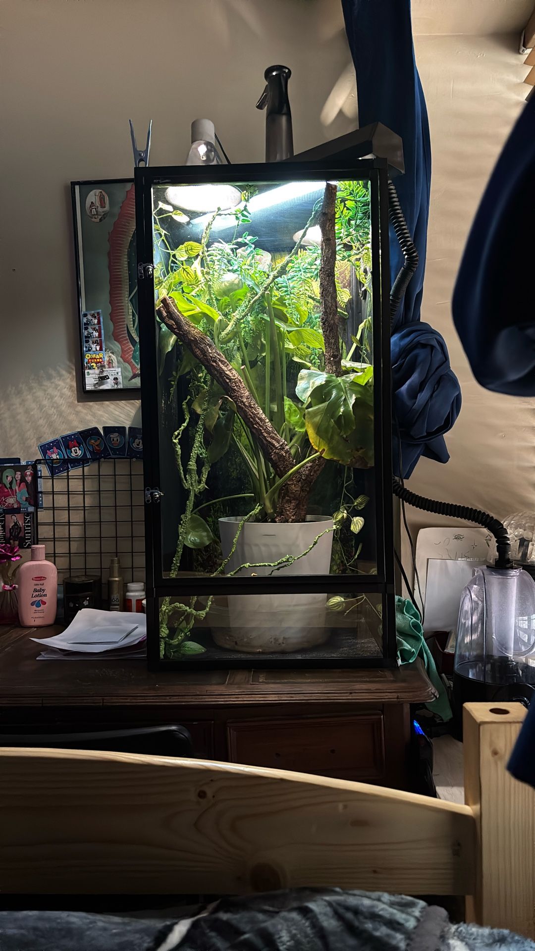 Reptile Cage