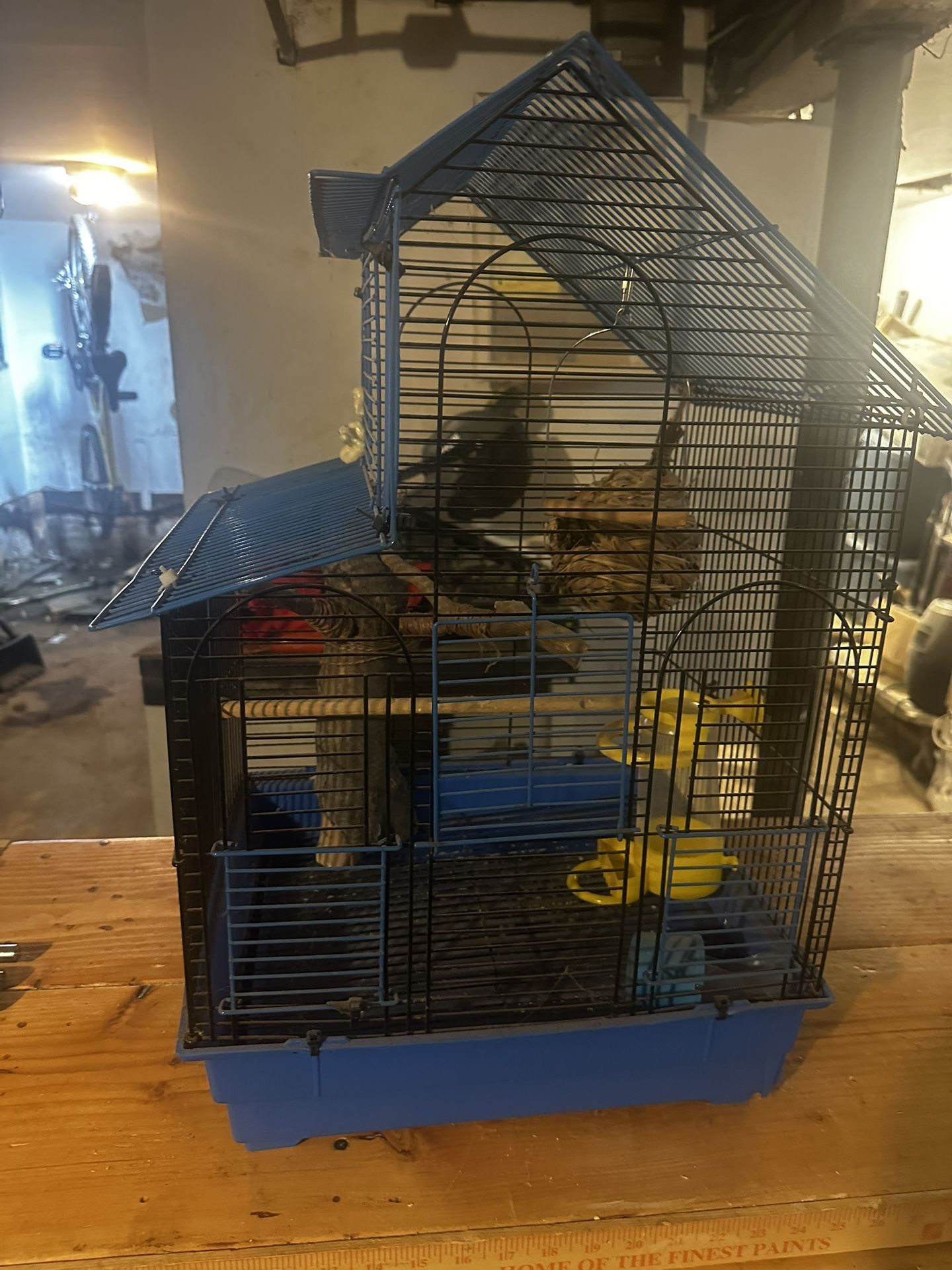 Bird Cage