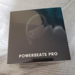 Beats Powerbeats Pro Wireless Earbuds - Apple H1 Headphone Chip, Class 1 Bluetooth Headphones, 9 Hours of Listening Time, Sweat Resistant