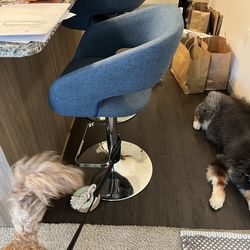 Bar stool