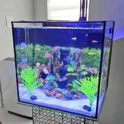 JBl Fish Tank 