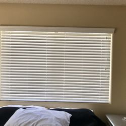 Blinds Cortinas