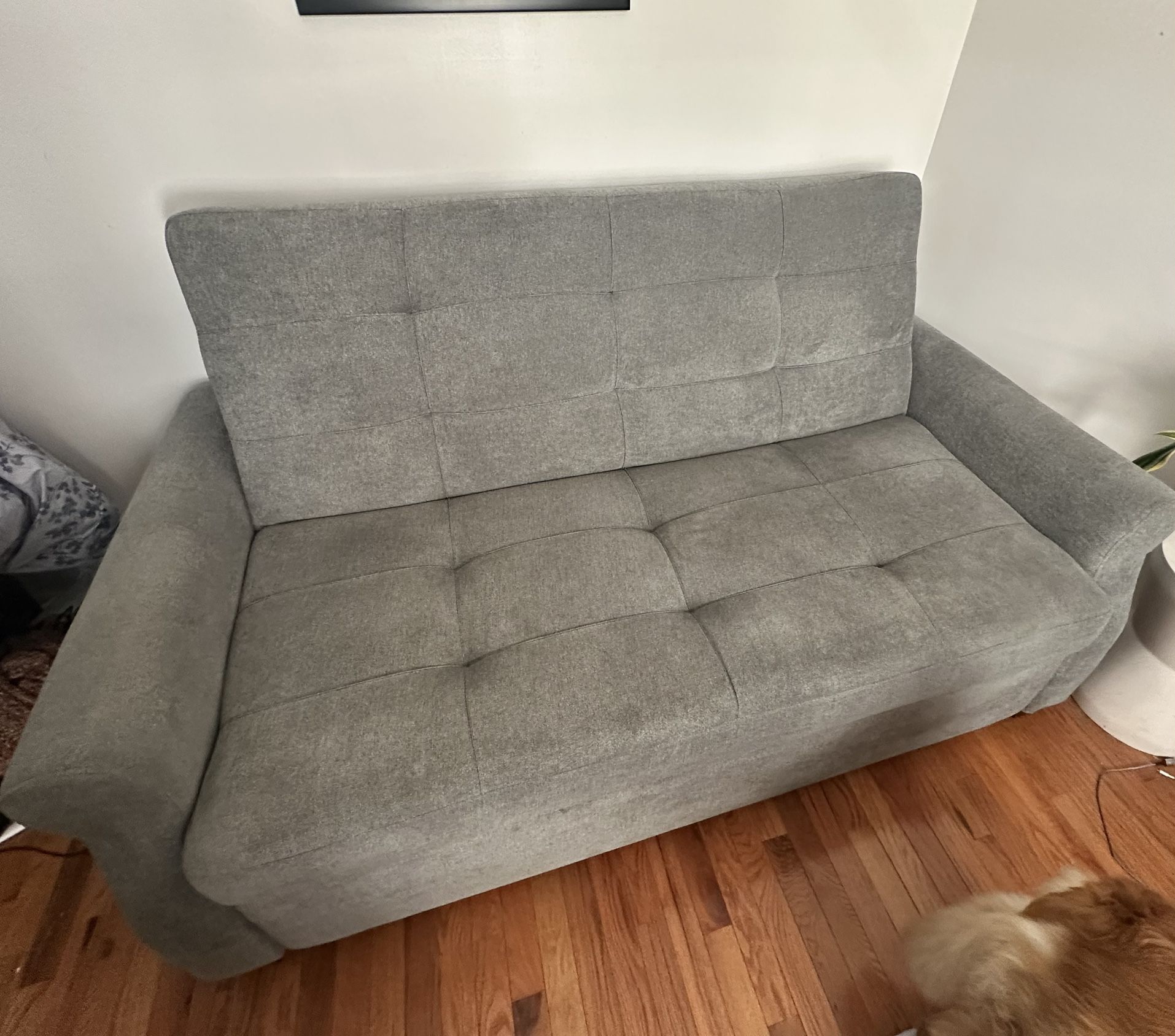 Sleeper Sofa