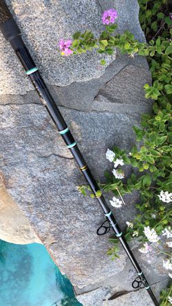 CALSTAR GRAFIGHTER GFDH 800L 15-30lb 8'0” Saltwater FIshing Rod. for Sale  in Santa Clarita, CA - OfferUp