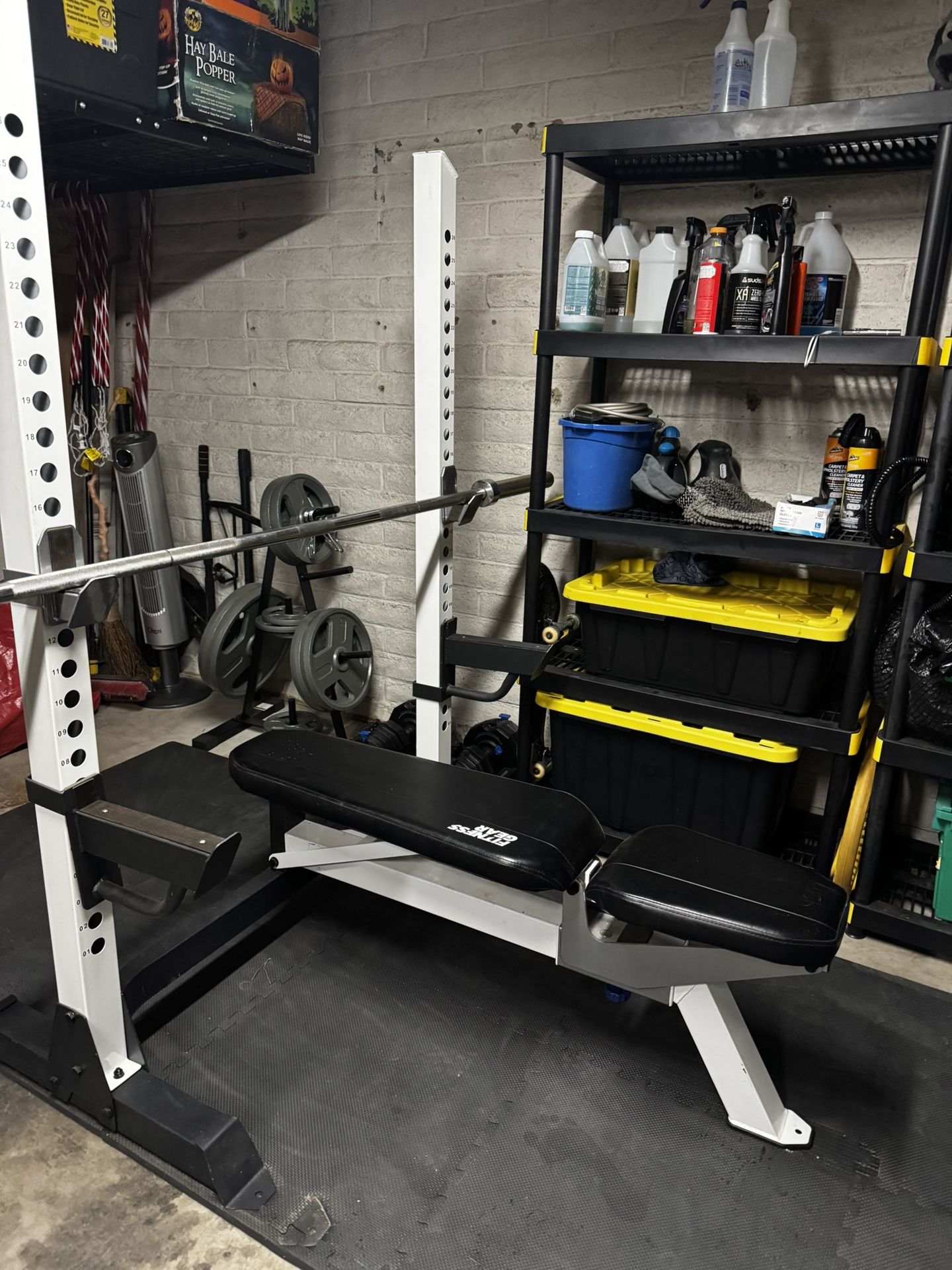 Bench/squat rack & weight plates 