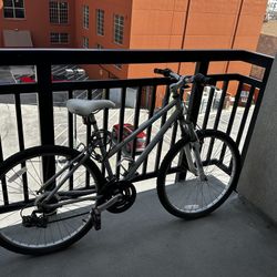 Raleigh Eva 2.0 Mountain Bike