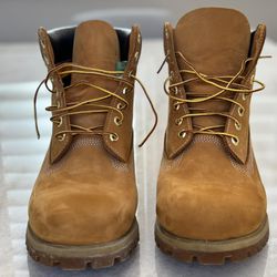 Mint Timberland Premium Boot Men’s 12