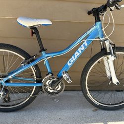 Aluminum Bike Giant Sz 24