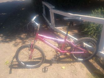 Bike tricycle