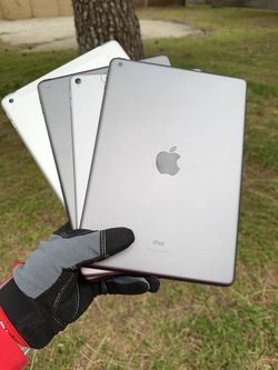 iPads 5 / 6 / 8 / Pro