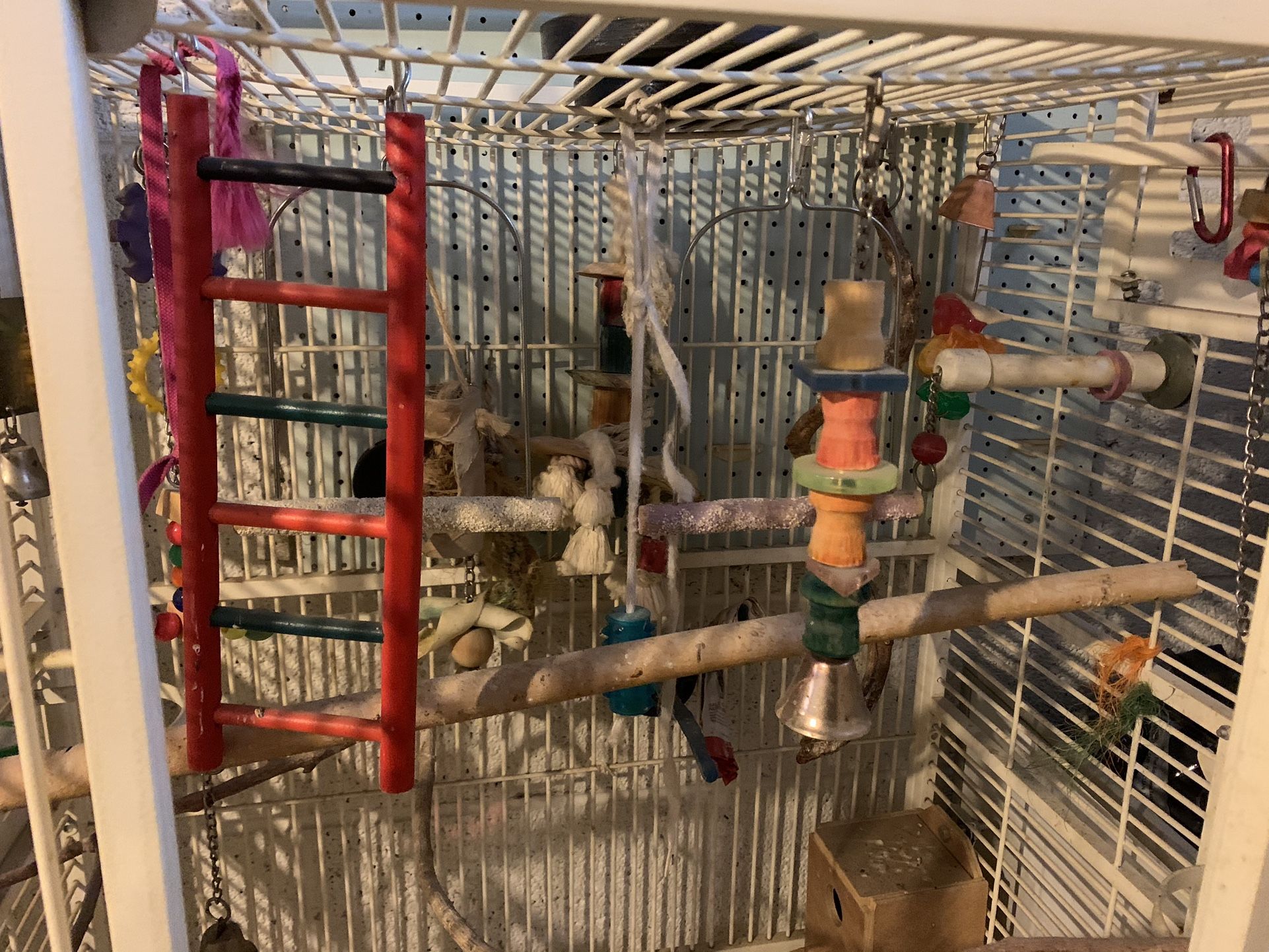 Parrot Cage