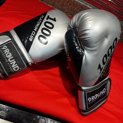 Boxing Gloves, New Display Model, Adult, $49