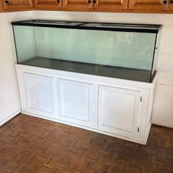 3 Fish Tanks 
