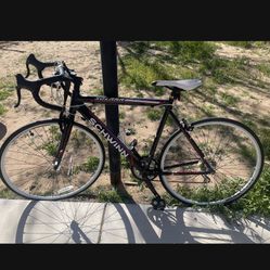 Schwann Bike