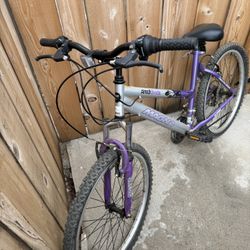 24” Ladies Bike 