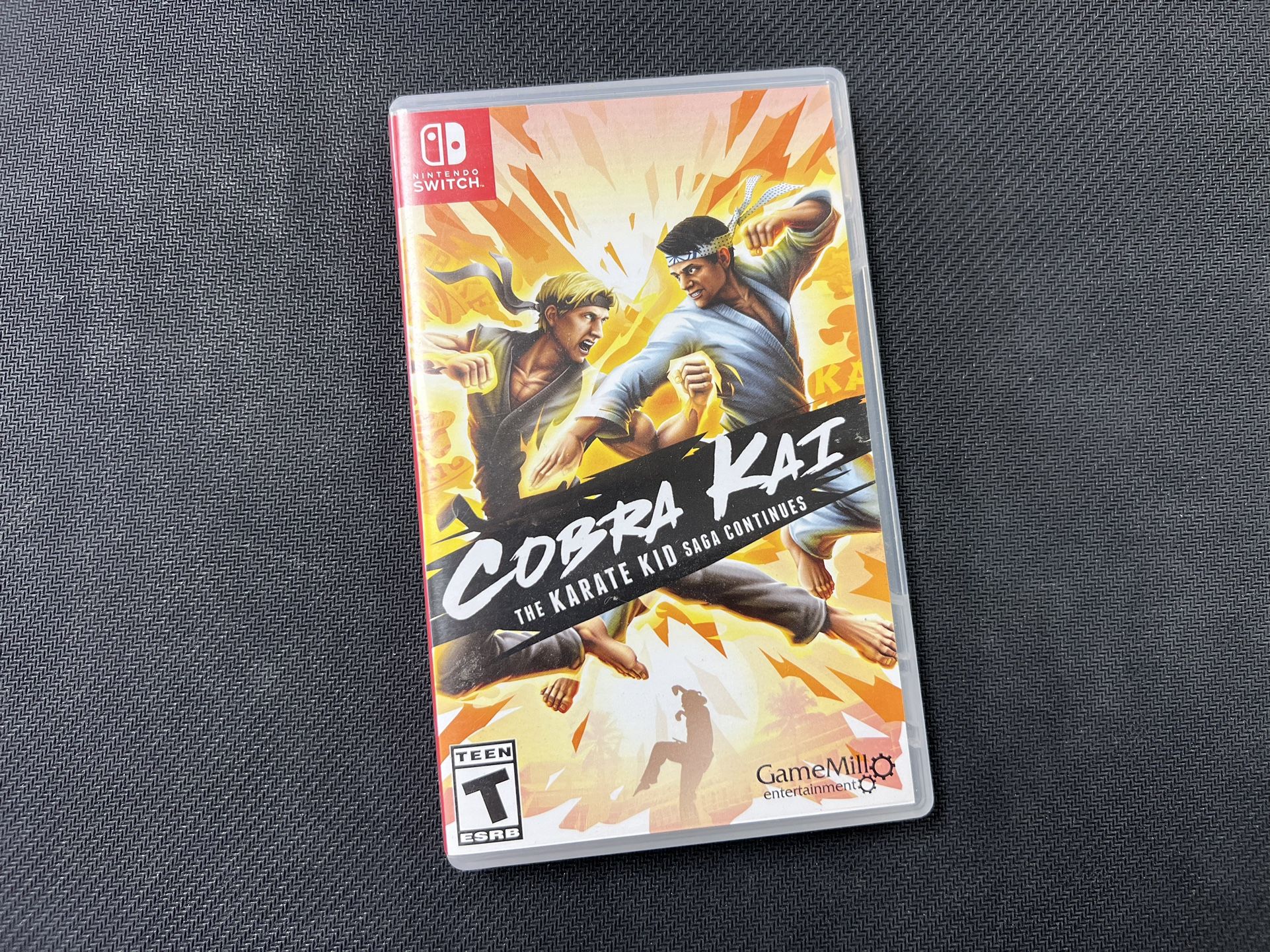 Cobra Kai The Karate Kid Saga Continues - Nintendo Switch