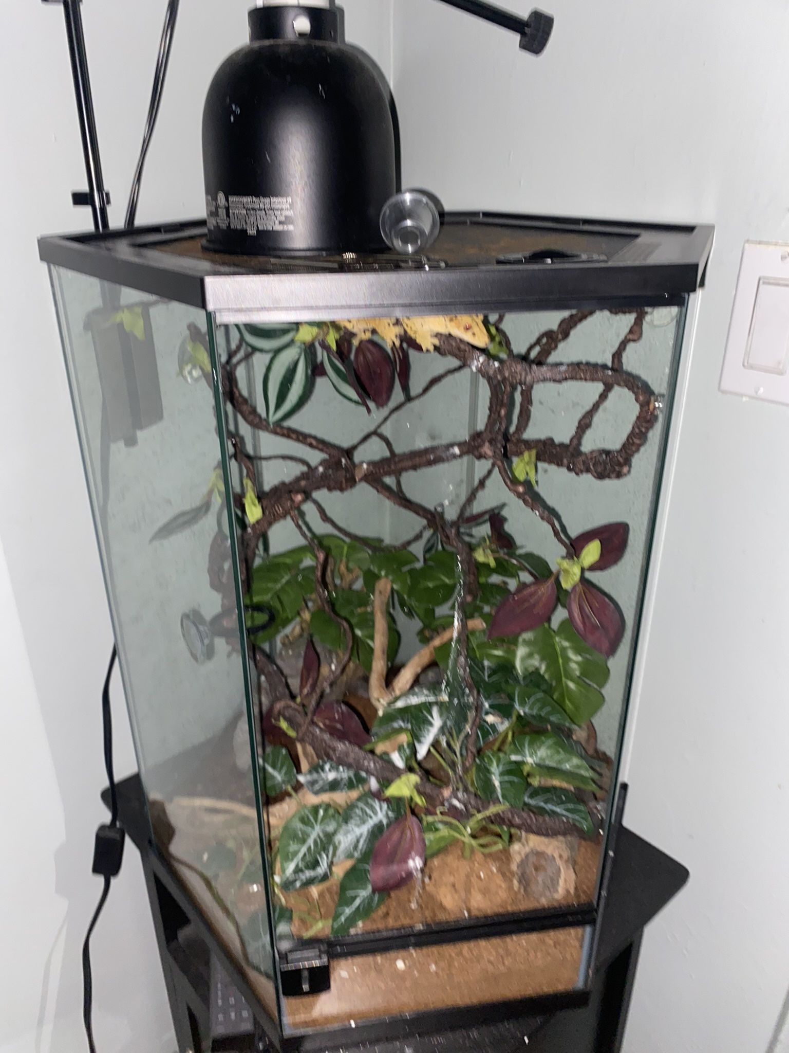 Reptile Cage