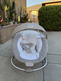 Ingenuity Baby Bouncer