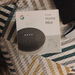 Home Mini Google 