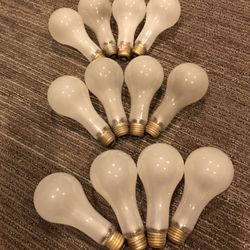 250W and 500W Bulbs