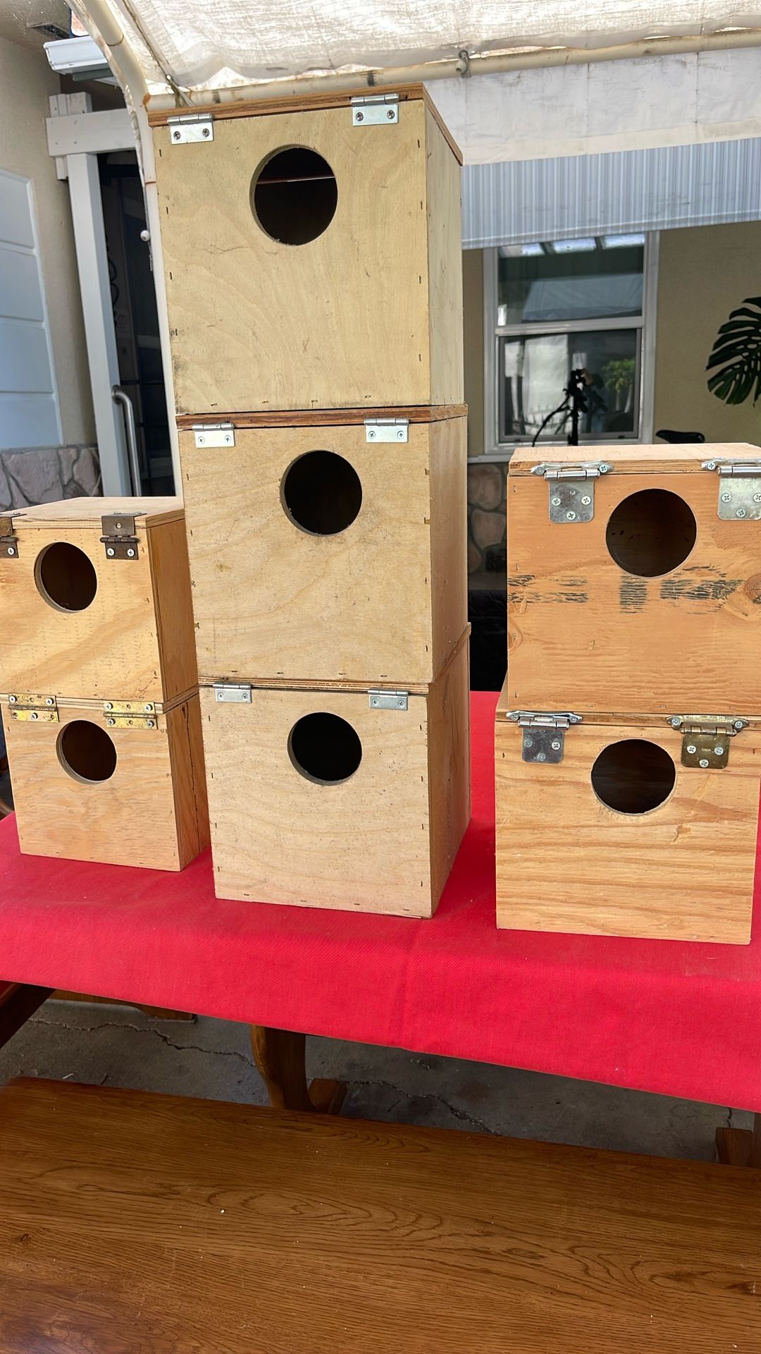 Cockatiel Bird Nests Or Small Birds