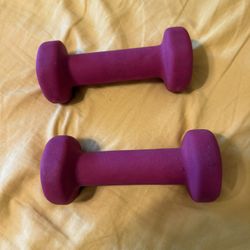 Set Of 2 Lb Weights