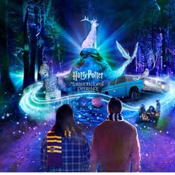 harry potter forest tickets 