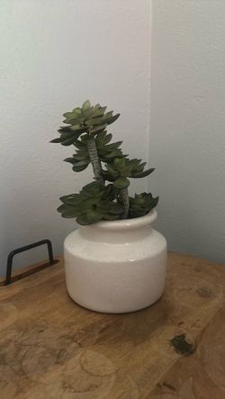Artificial  plant decor