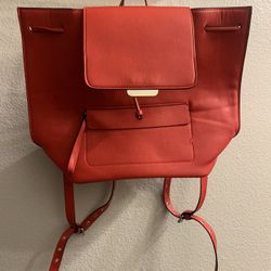 Zara Purse