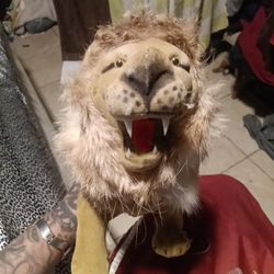 Collections And Toys